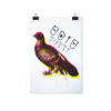 ODIO TUTTI POSTER PICCIONE - HATE ALL PIGEON POSTER